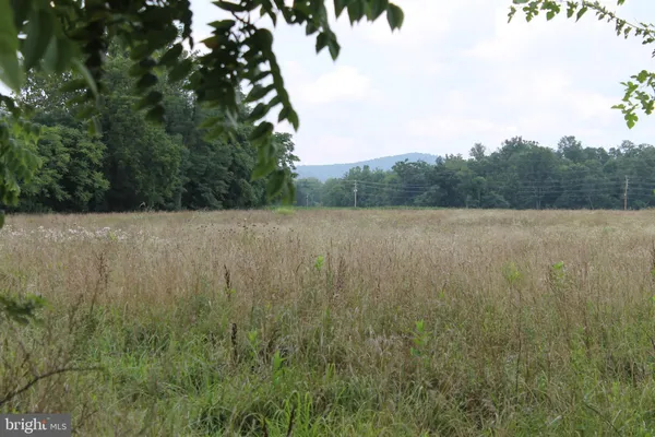 a view of outdoor space and green space
