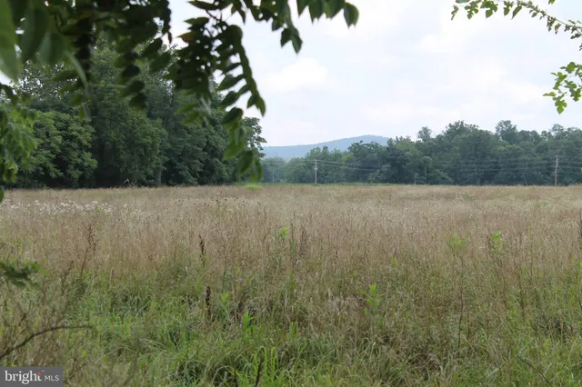a view of outdoor space and green space