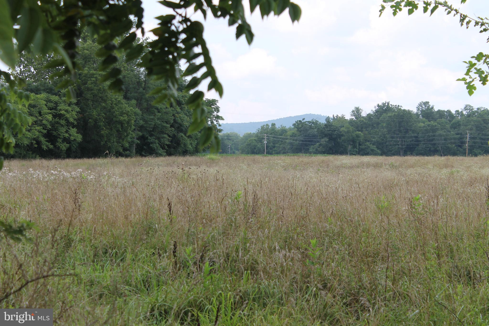 41 Valley View Trail Fairfield, PA 17320 - Photo 5 of 10 a view of outdoor space and green space