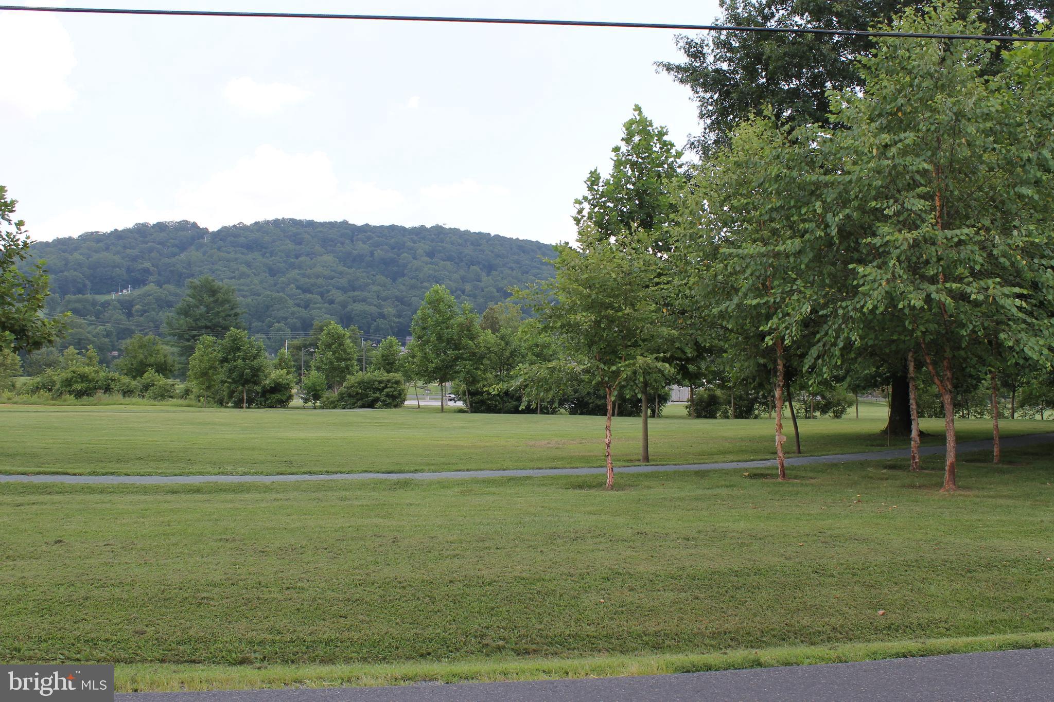 41 Valley View Trail Fairfield, PA 17320 - Photo 6 of 10 a view of grassy field with trees