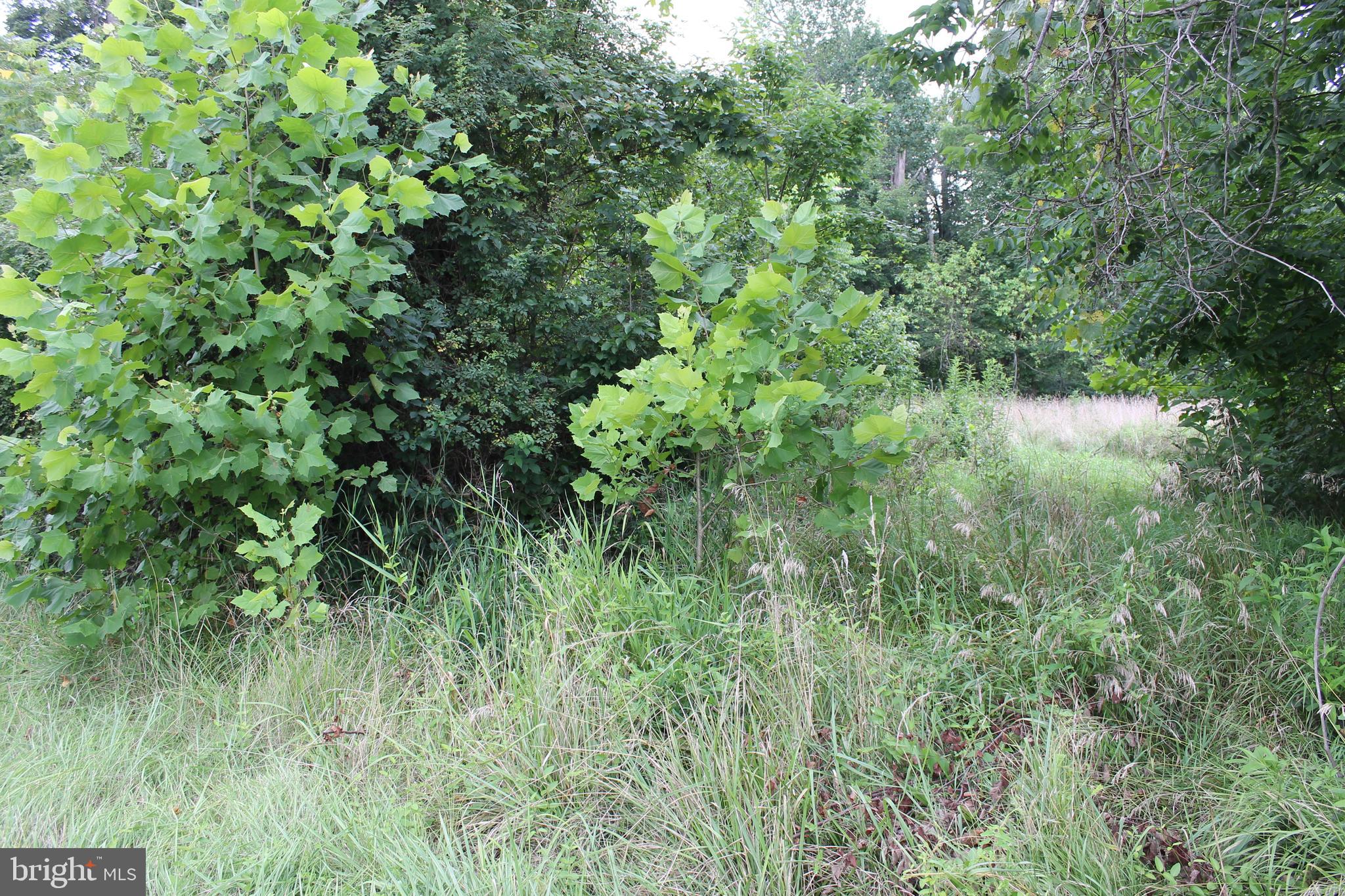 41 Valley View Trail Fairfield, PA 17320 - Photo 8 of 10 a view of a lush green forest