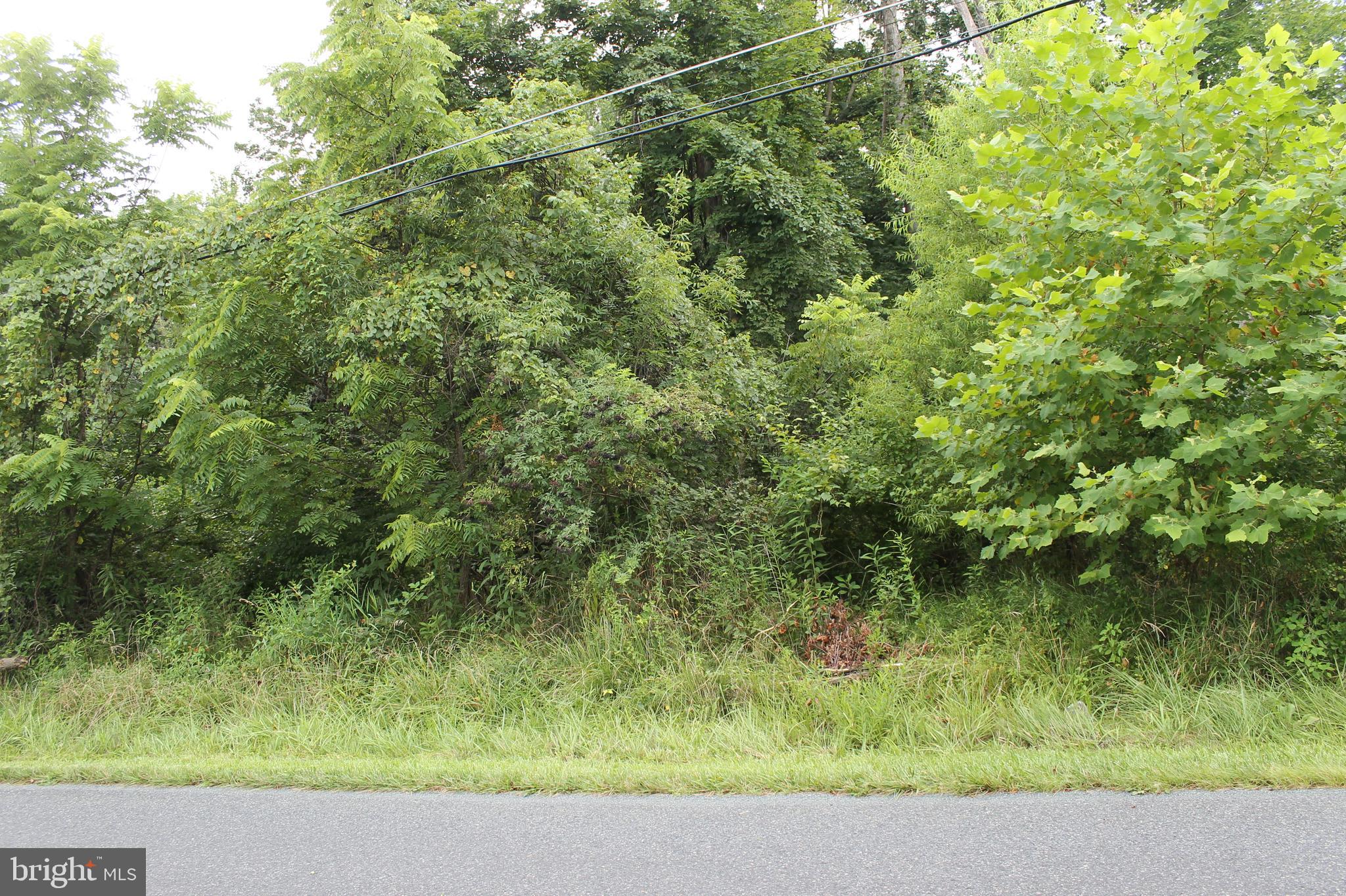 41 Valley View Trail Fairfield, PA 17320 - Photo 9 of 10 a view of a garden