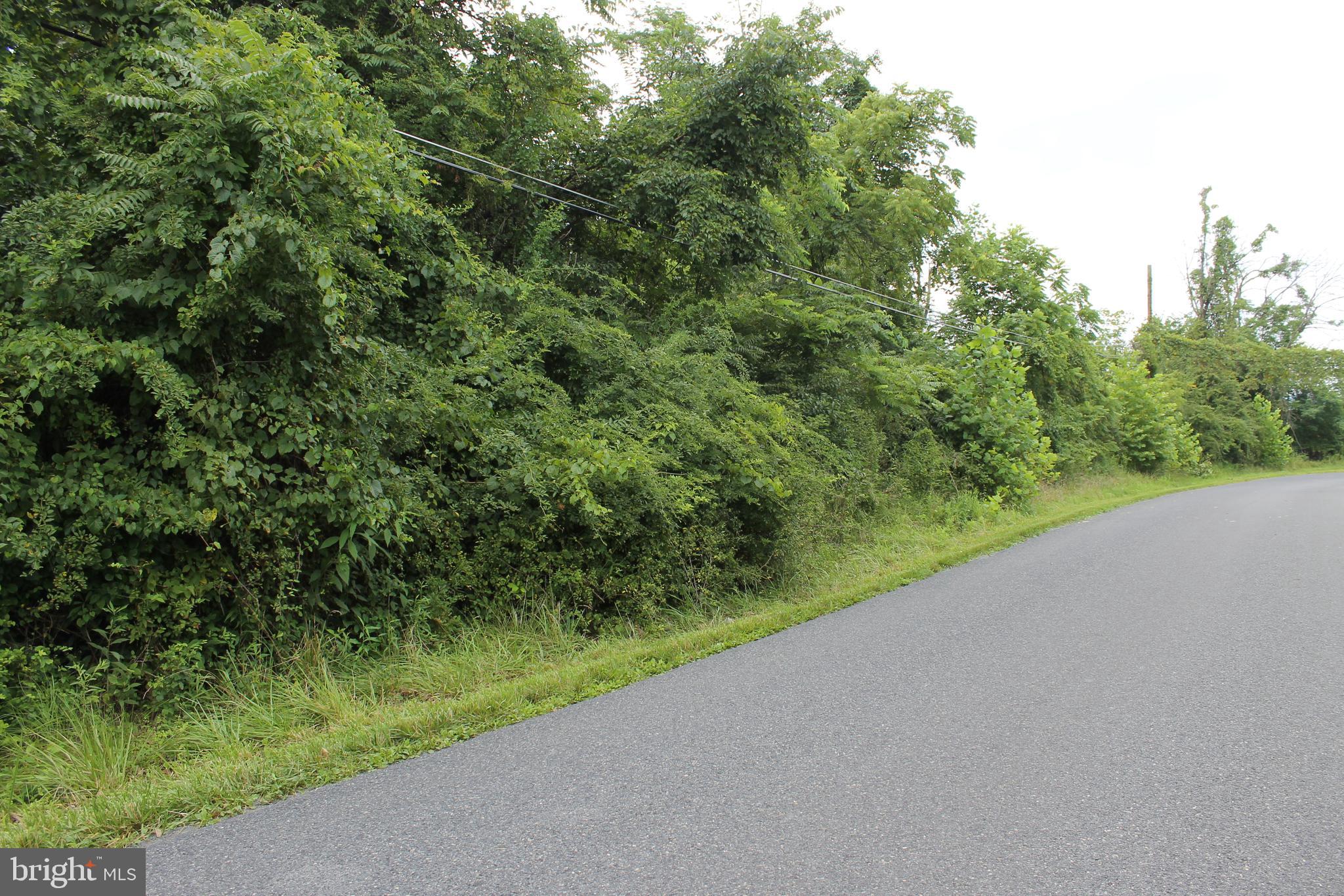 41 Valley View Trail Fairfield, PA 17320 - Photo 10 of 10 a view of a garden