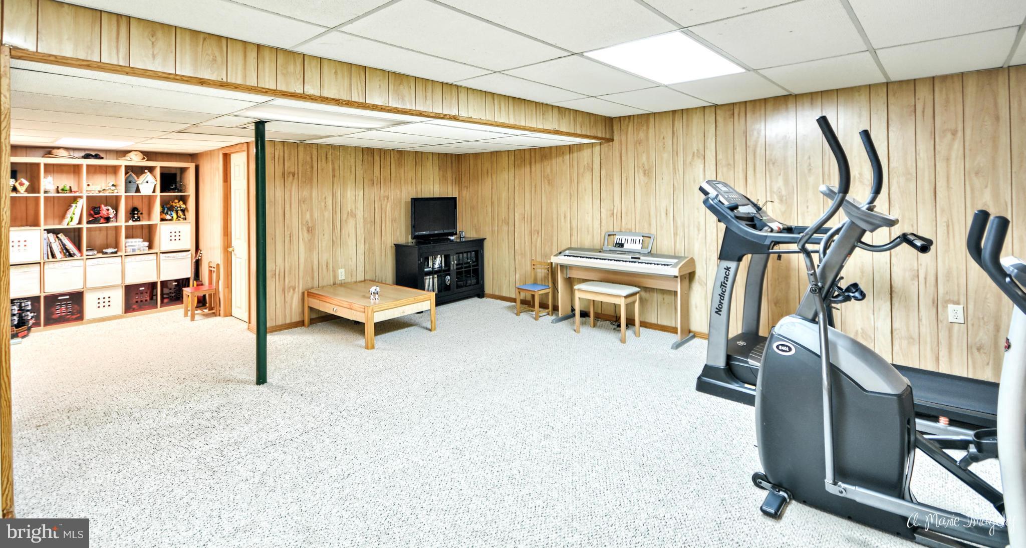 8053 Old Hagerstown Road Middletown, MD 21769 - Photo 30 of 30 Recroom and plenty of storage!
