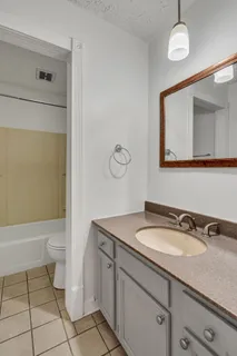 a bathroom with a sink a toilet and a mirror