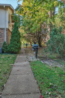 a view of a backyard with table and chairs plants and trees