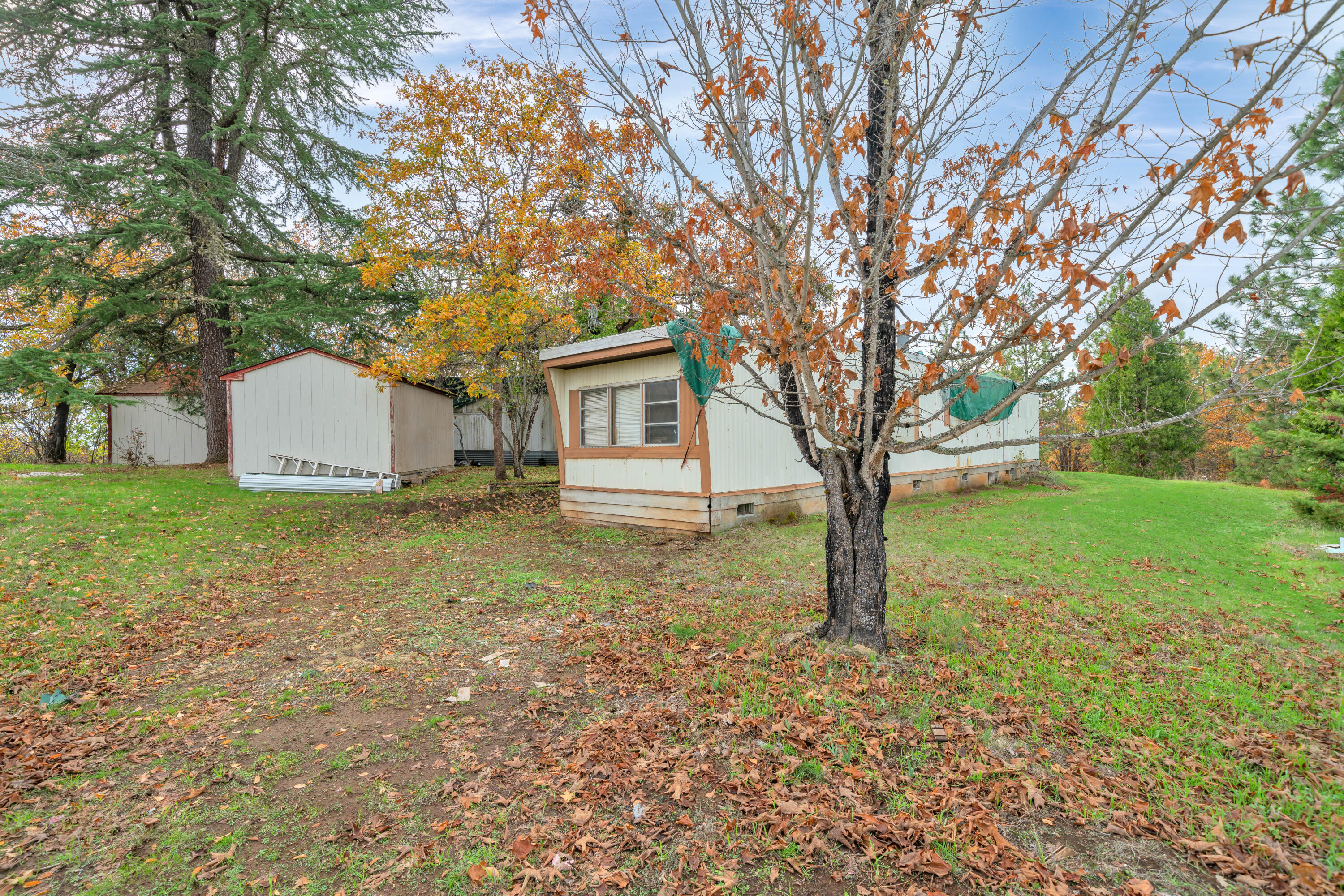 300 Riley Road Eagle Point, OR 97524 - Photo 14 of 40 DSC00028