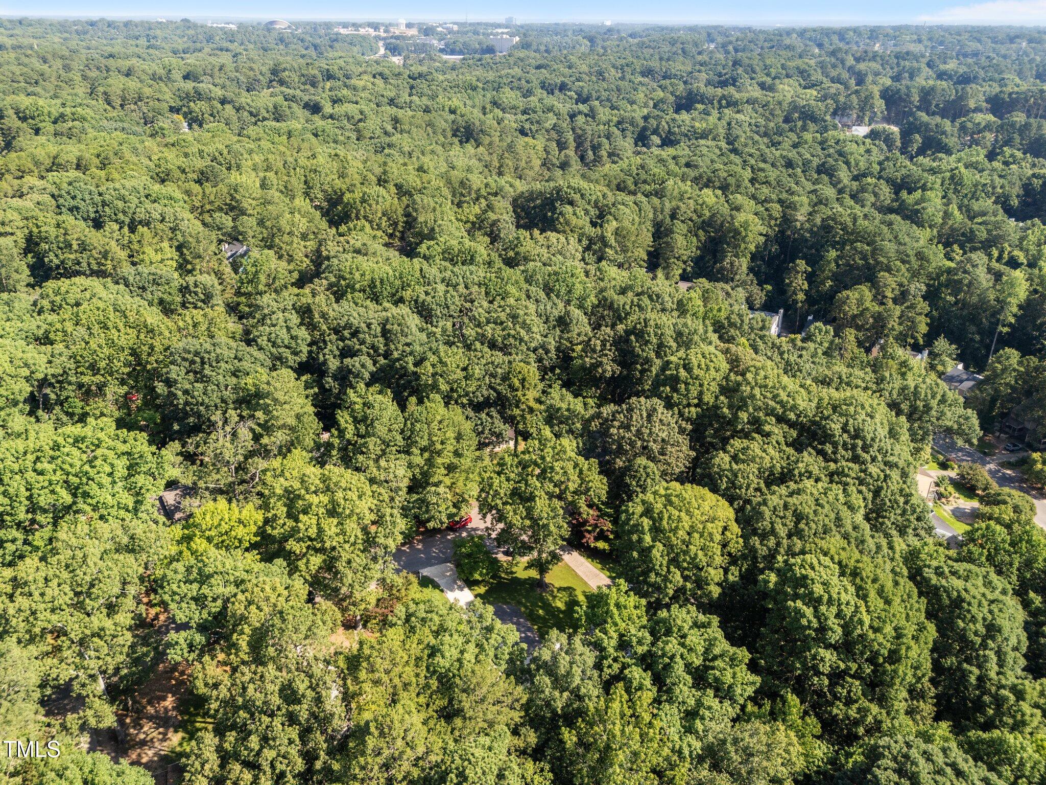 3309 Bearskin Court Raleigh, NC 27606 - Photo 38 of 40 Heavily wooded
