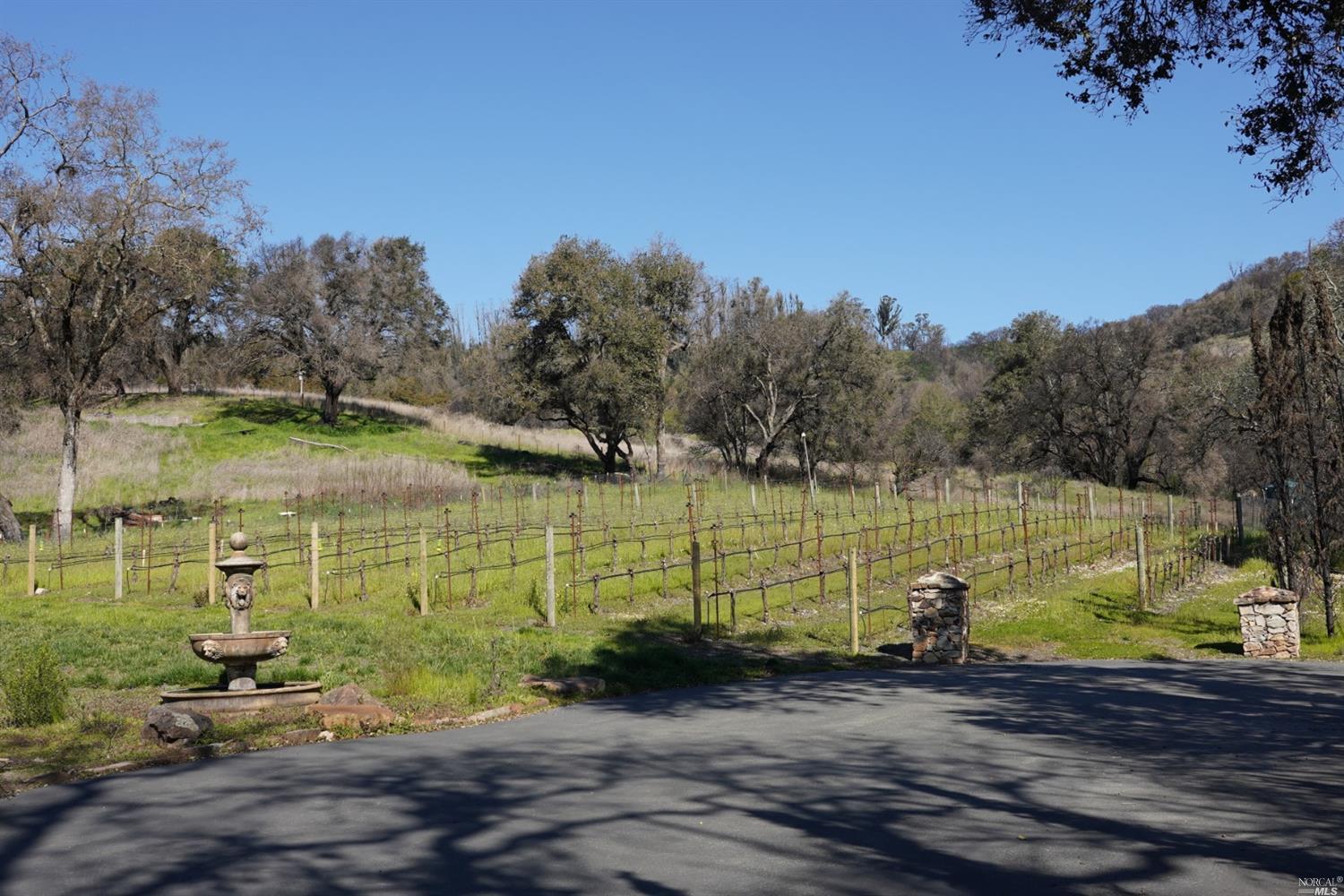 833 Quietwater Road Santa Rosa, CA 95404 - Photo 1 of 1 a view of a lake with a yard