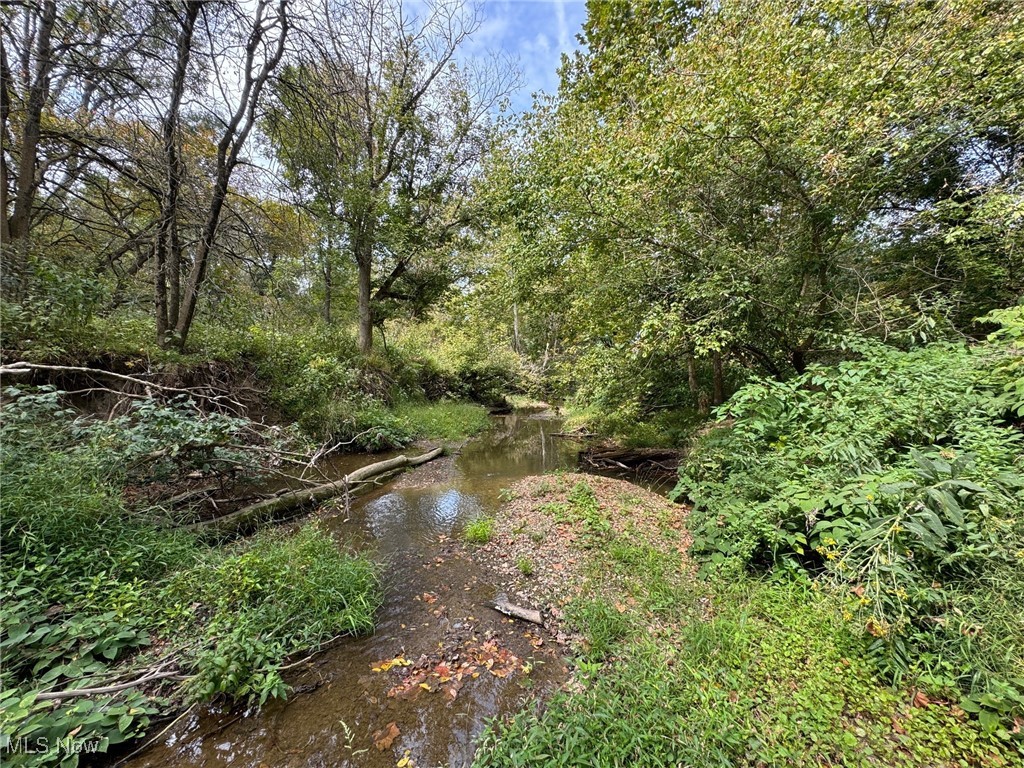 9388 Kennard Road Lodi, OH 44254 - Photo 40 of 40 Black River Tributary