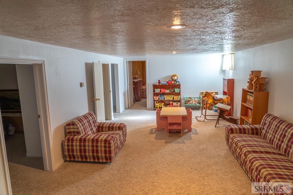 595 Bechler Street St. Anthony, ID 83445 - Photo 18 of 34 Basement family room