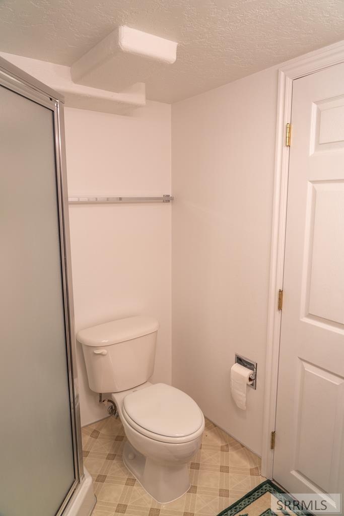 595 Bechler Street St. Anthony, ID 83445 - Photo 24 of 34 Basement bath stool & closet