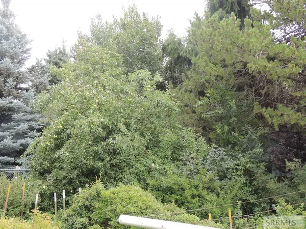 $379,900 | 595 Bechler Street, St. Anthony, ID 83445