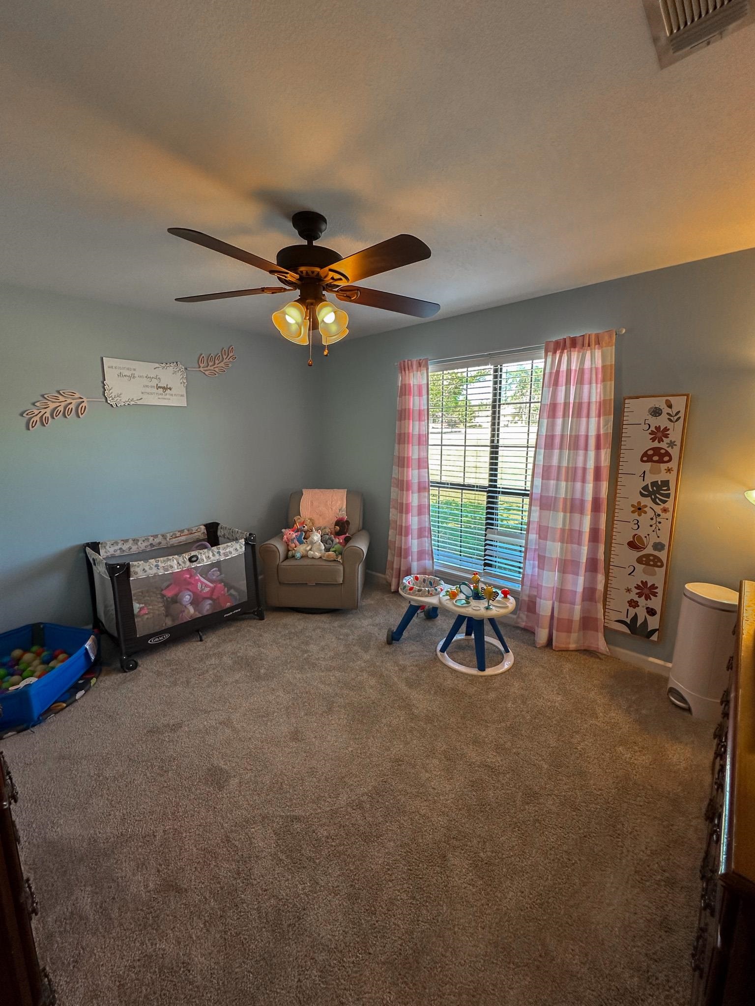 2 Raptor Drive Belmont, MS 38827 - Photo 12 of 18 Rec room with carpet flooring and ceiling fan