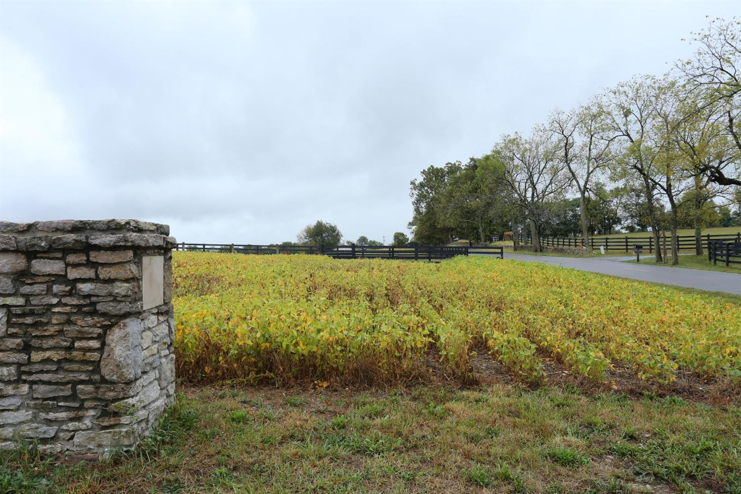 3213 Ironworks Road Georgetown, KY 40324 - Photo 6 of 16 Photo 6