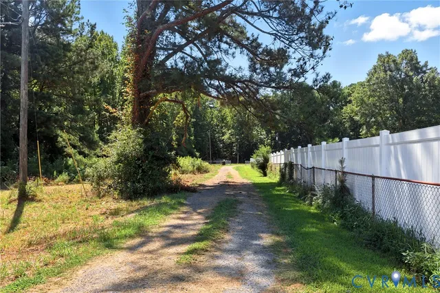a view of a yard with plants and trees