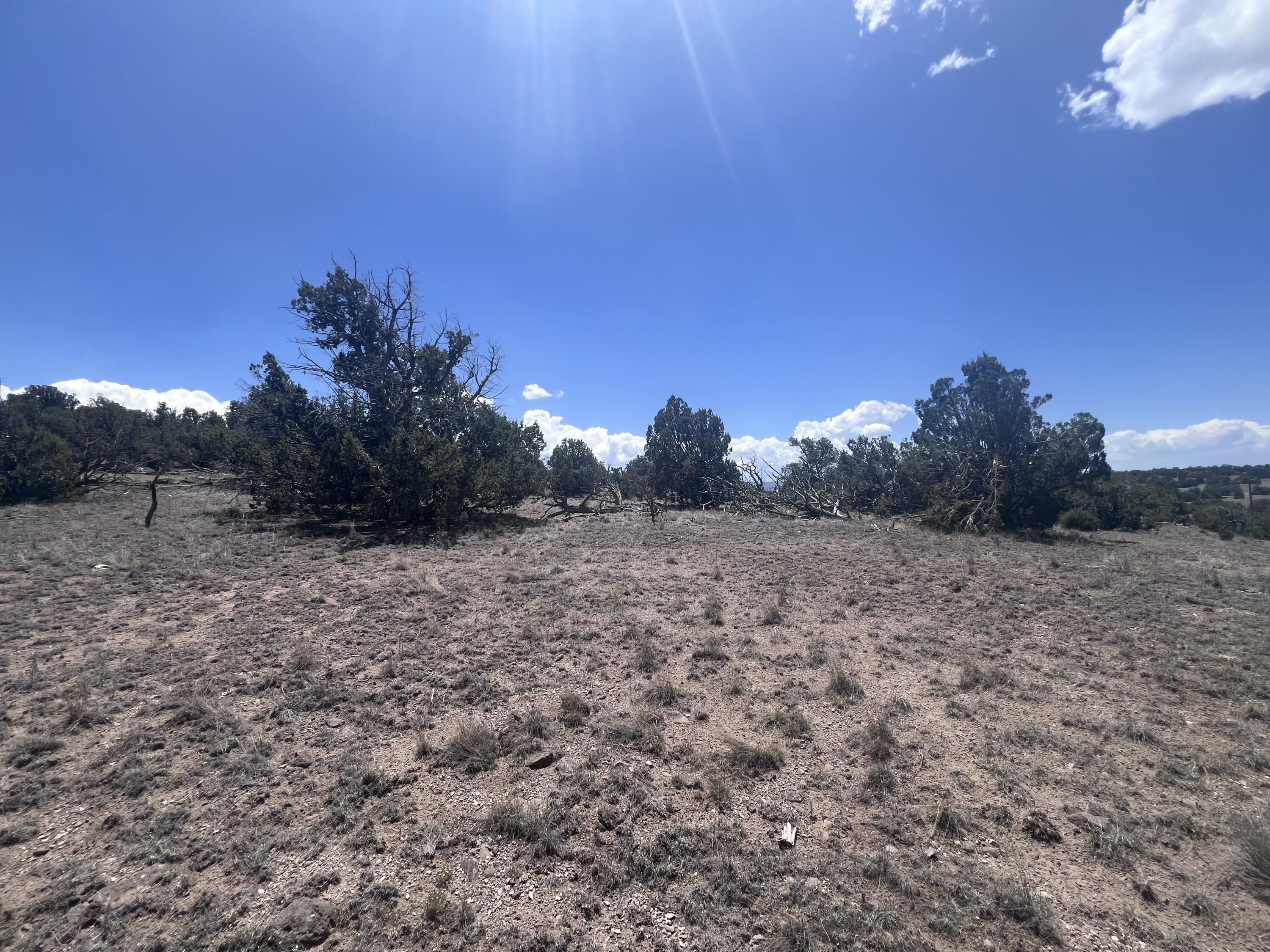 Omega Road Quemado, NM 87829 - Photo 11 of 21 Gallery Image 11
