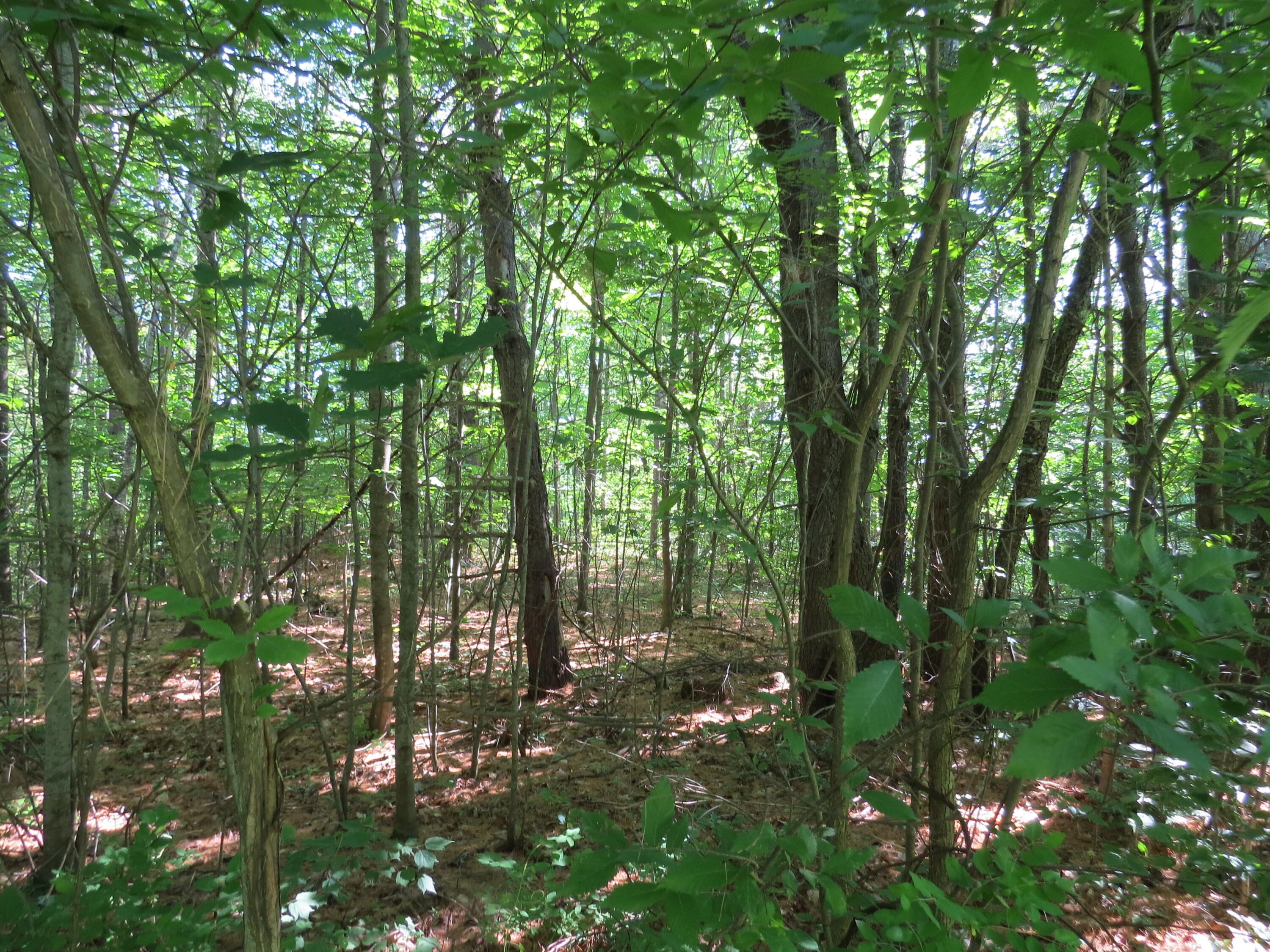 154 River Road Benton, ME 04901 - Photo 9 of 23 IMG_0012