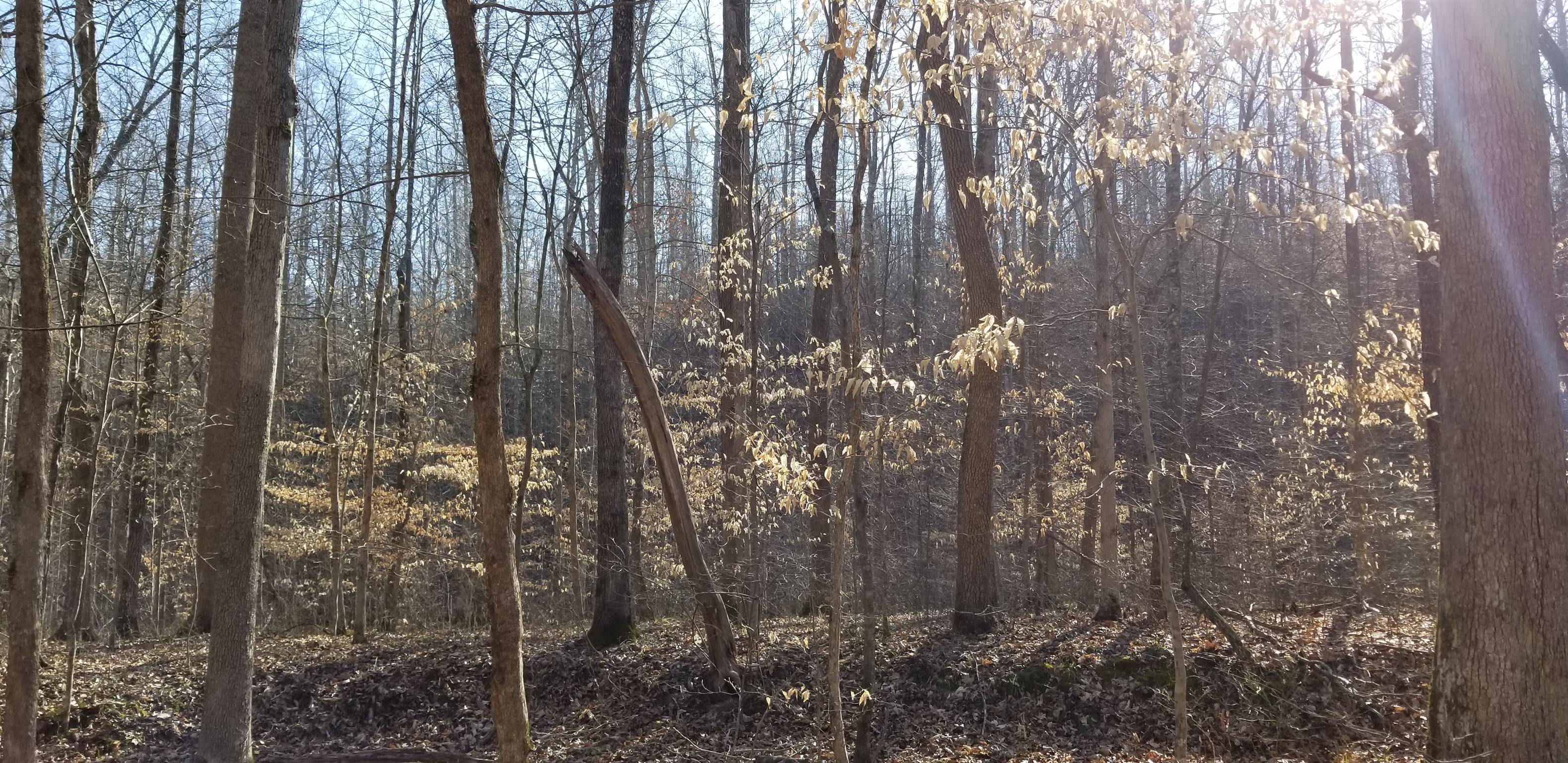 0 Bluewater Road Centerville, TN 37033 - Photo 12 of 30 Gallery Image 12
