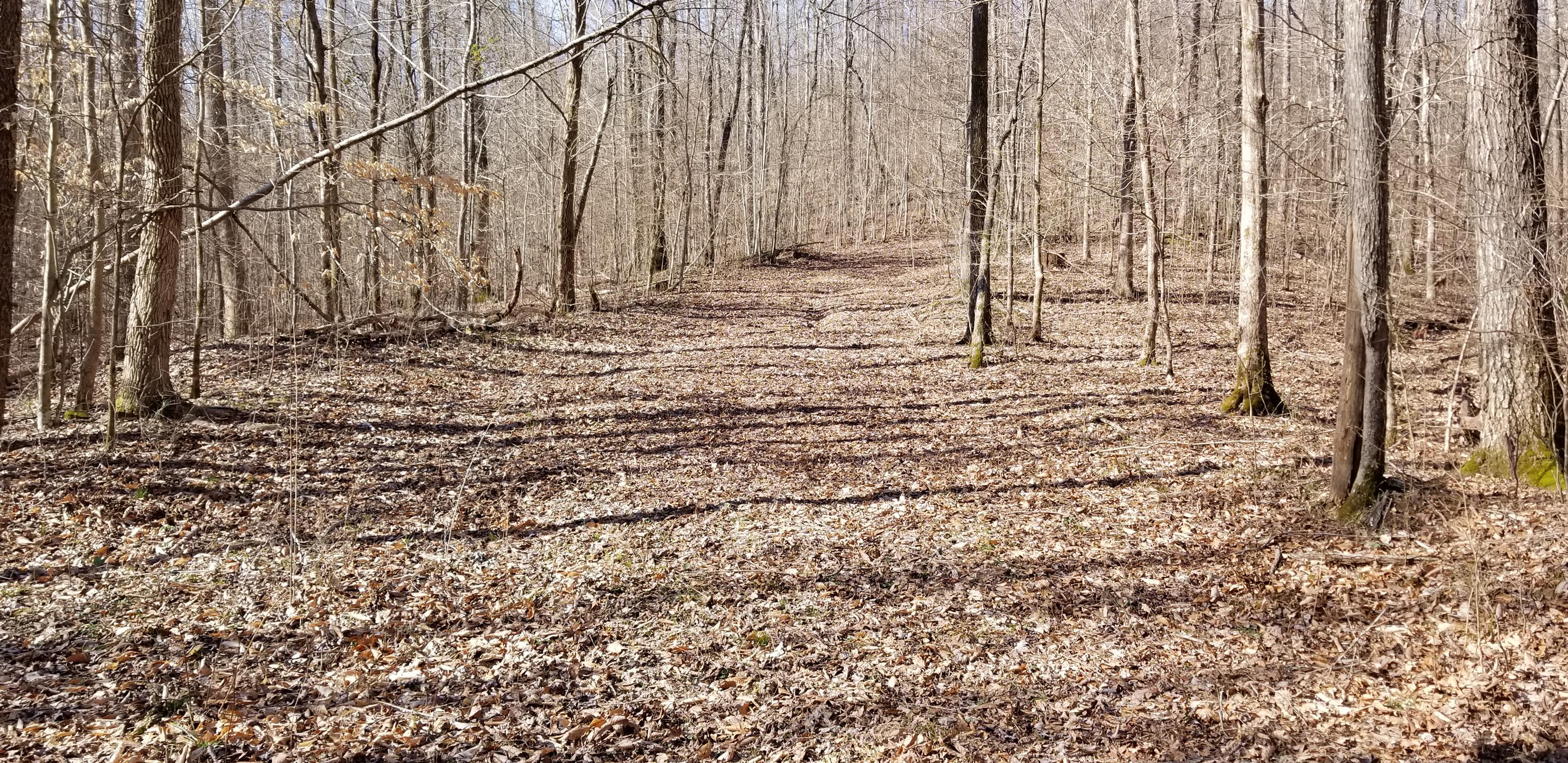 0 Bluewater Road Centerville, TN 37033 - Photo 20 of 30 Gallery Image 20