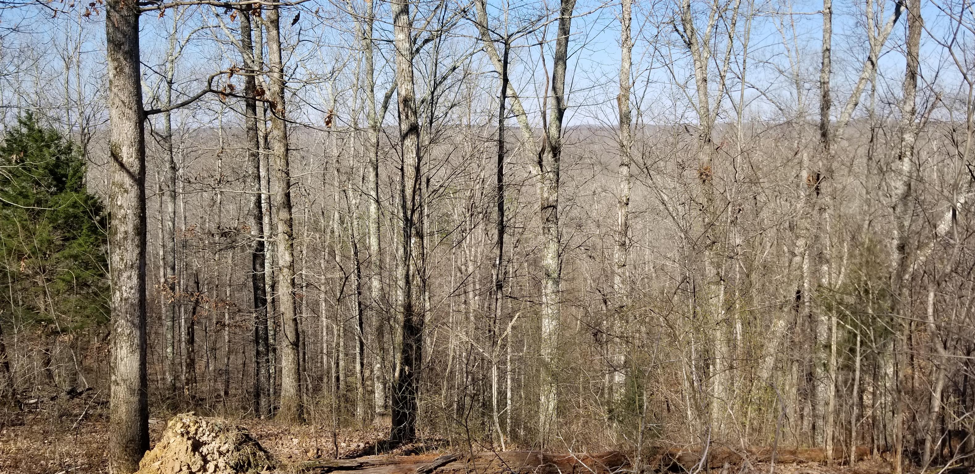 0 Bluewater Road Centerville, TN 37033 - Photo 26 of 30 Gallery Image 26