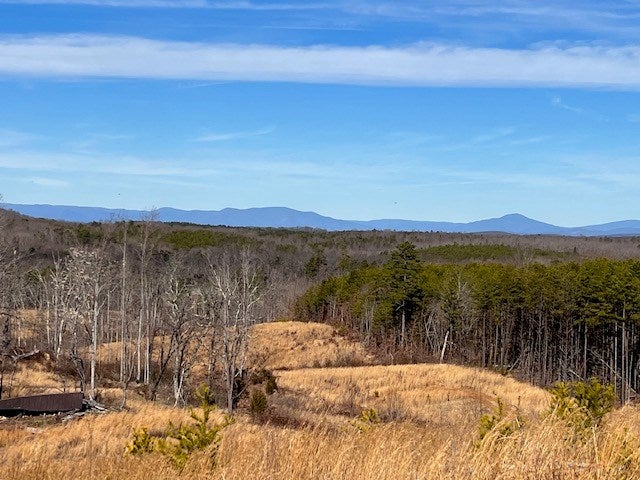 Colemans Mill Road Appomattox, VA 24522 - Photo 2 of 10 Gallery Image 2