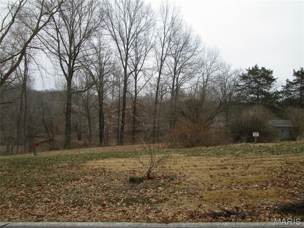 3600 Old Baumgartner Road St. Louis, MO 63129 - Photo 5 of 9