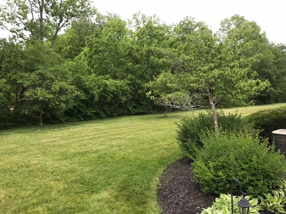 4907 Rays Circle Dublin, OH 43016 - Photo 3 of 44 Gallery Image 3