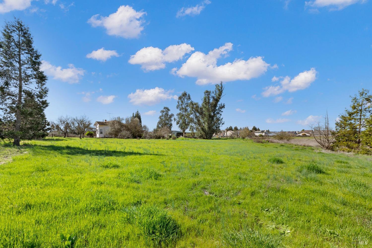 3015 Petaluma Hill Road Santa Rosa, CA 95404 - Photo 8 of 15