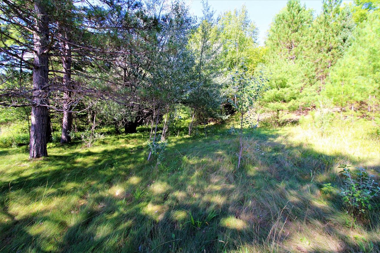 1875 West Clear Lake Road Mercer, WI 54547 - Photo 15 of 22 Gallery Image 15