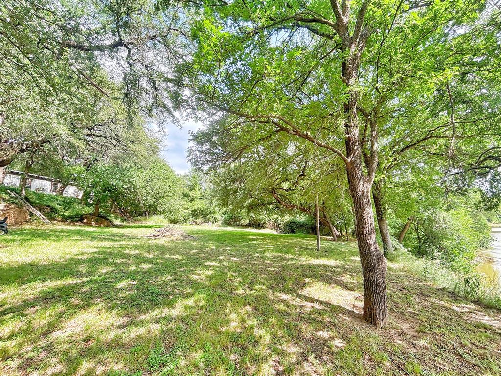 101 Riverview Road Millsap, TX 76066 - Photo 12 of 26 a big yard with lots of green space and plants