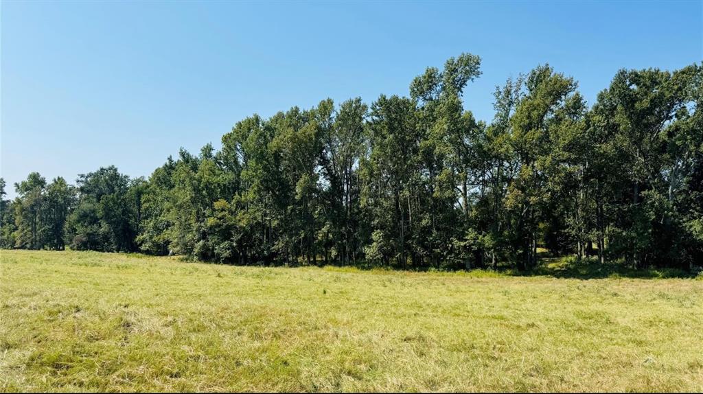 2909 Trct 8 Canton, TX 75103 - Photo 3 of 4