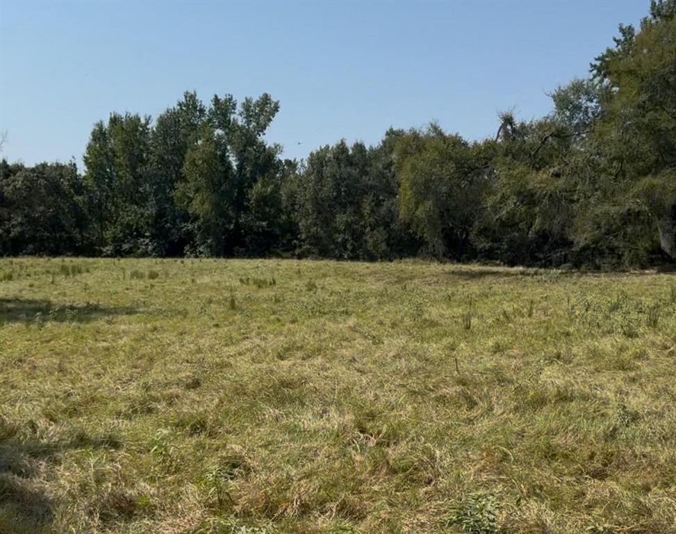 2909 Trct 8 Canton, TX 75103 - Photo 4 of 4