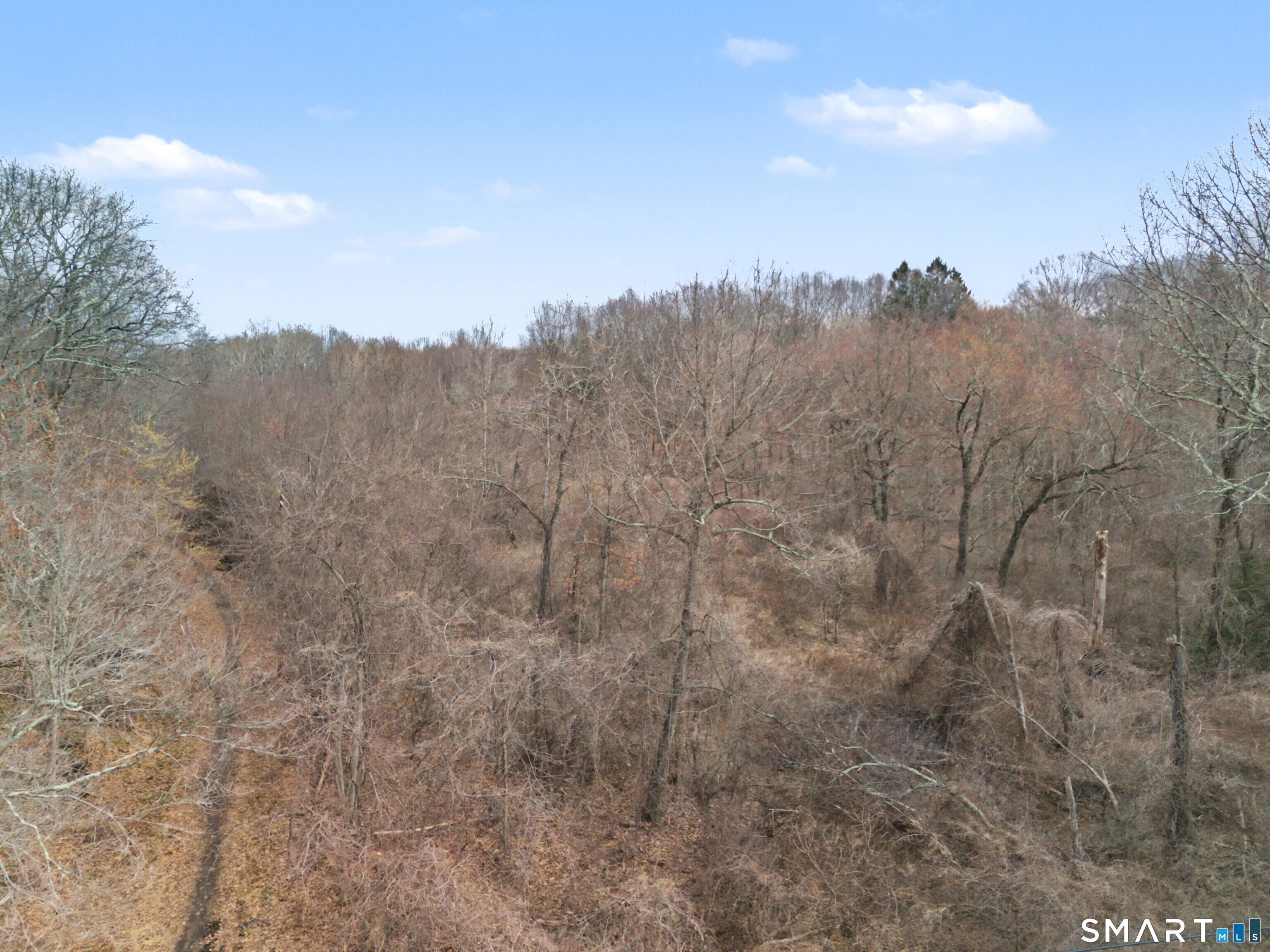 Towantic Hill Road Oxford, CT 06478 - Photo 5 of 17