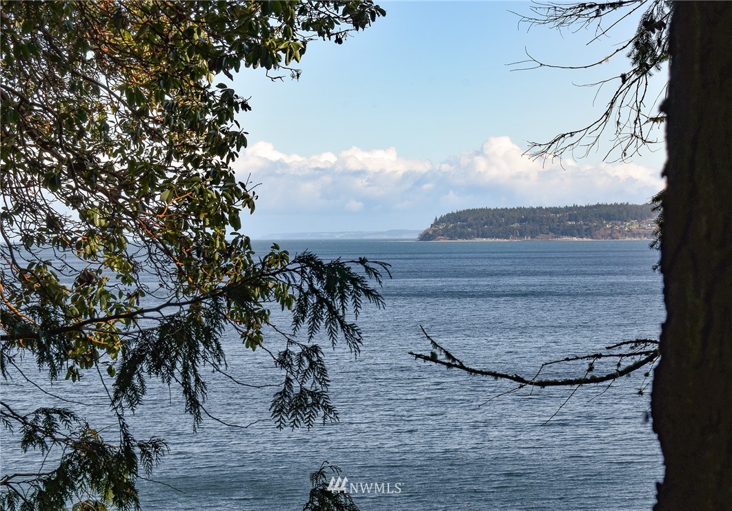 478 Daisey King Road Sequim, WA 98382 - Photo 1 of 31 Gallery Image 1