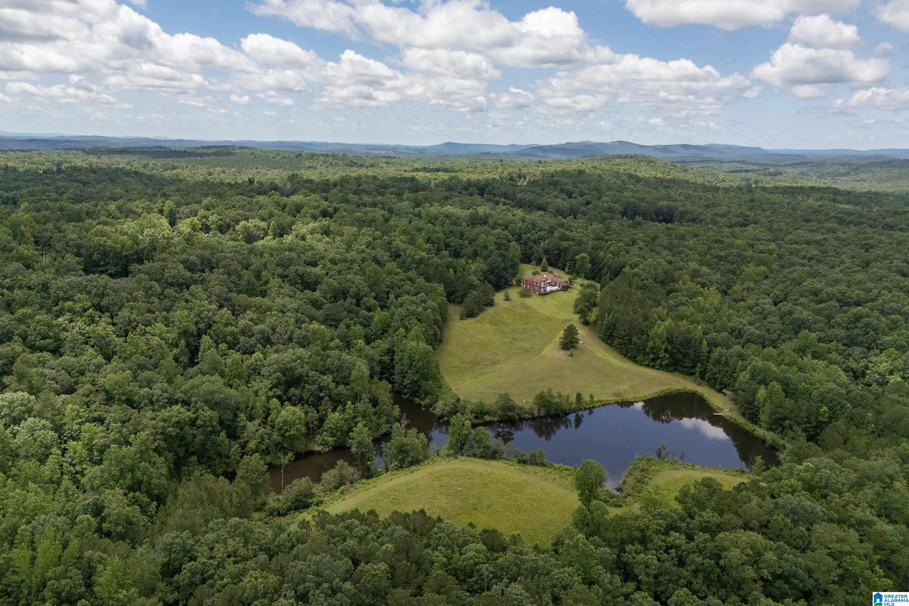 320 Wolf Pen Ridge Road Pell City, AL 35128 - Photo 95 of 100