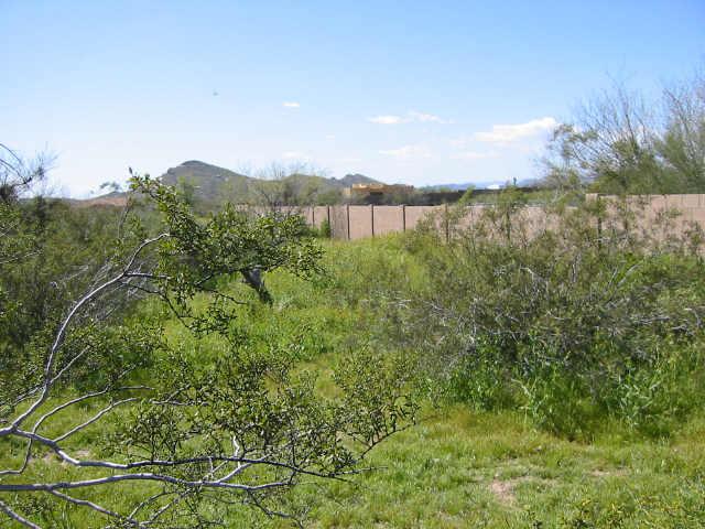 17 West Maddock (lot 2) Road, Unit 2 Phoenix, AZ 85086 - Photo 2 of 5 Additional Photo