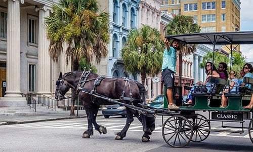 carriage tour
