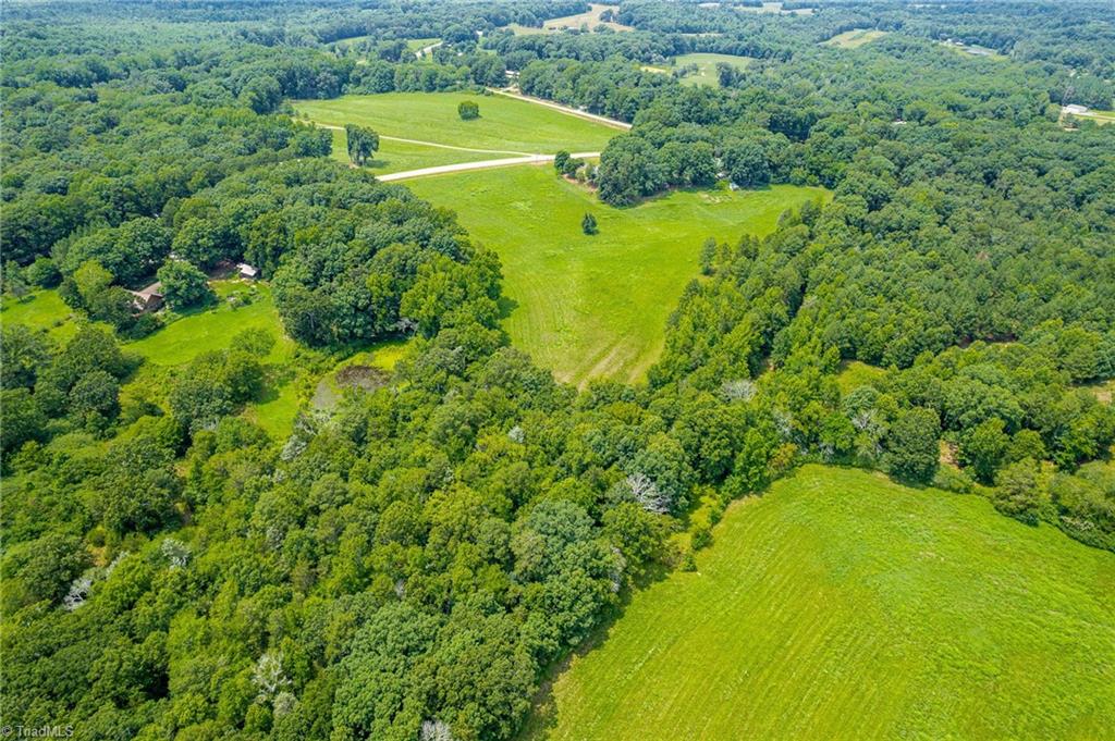 3883 Busbee Road Seagrove, NC 27341 - Photo 6 of 20