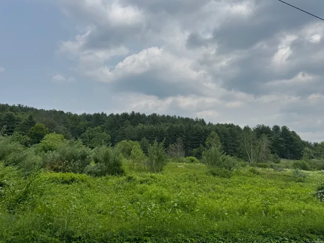 a view of a big yard with lots of green space