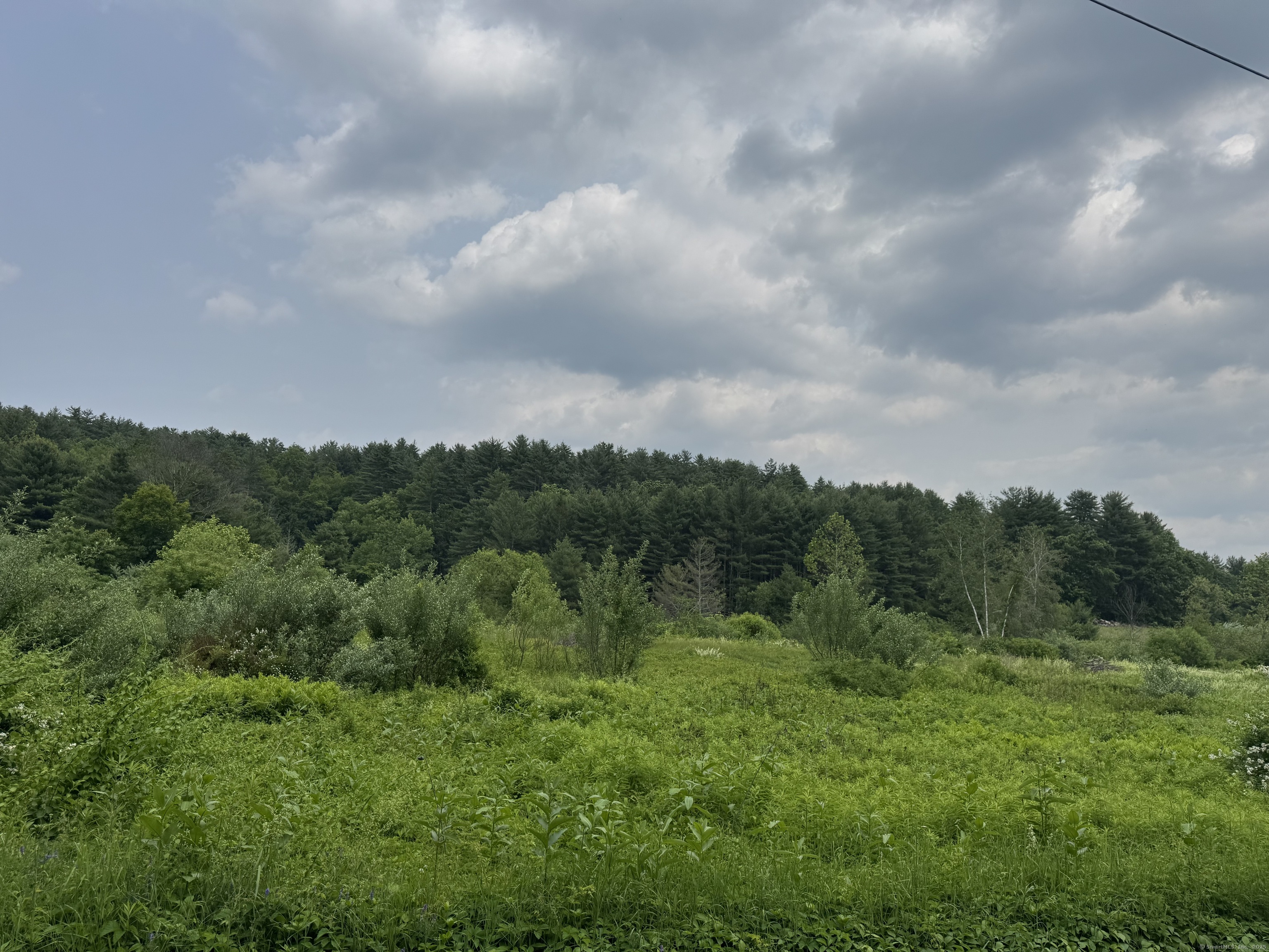 82 Riverton Road Colebrook, CT 06021 - Photo 3 of 9 a view of a big yard with lots of green space