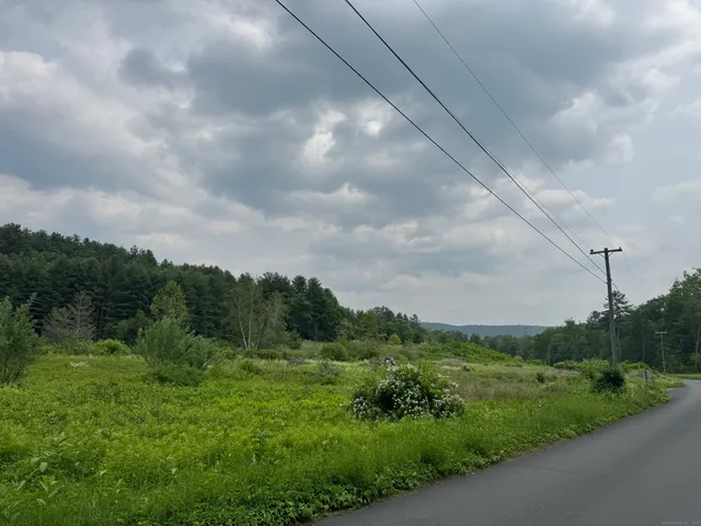 a view of a green field with lots of green space