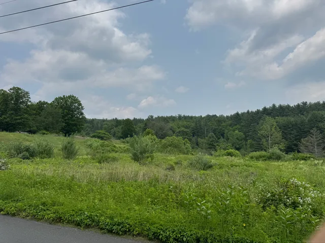 a view of a green field with lots of bushes