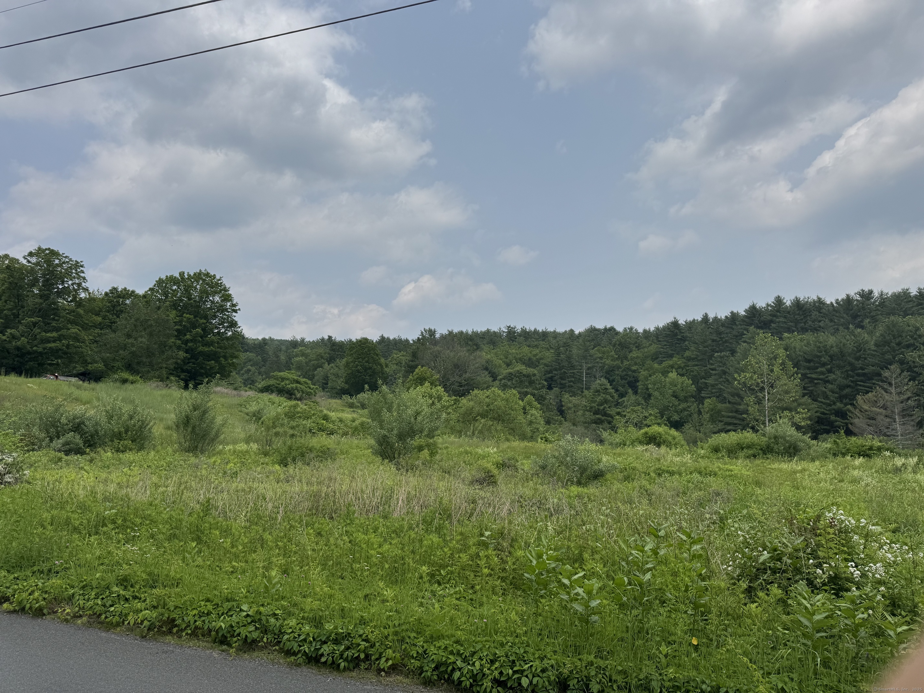 82 Riverton Road Colebrook, CT 06021 - Photo 5 of 9 a view of a green field with lots of bushes