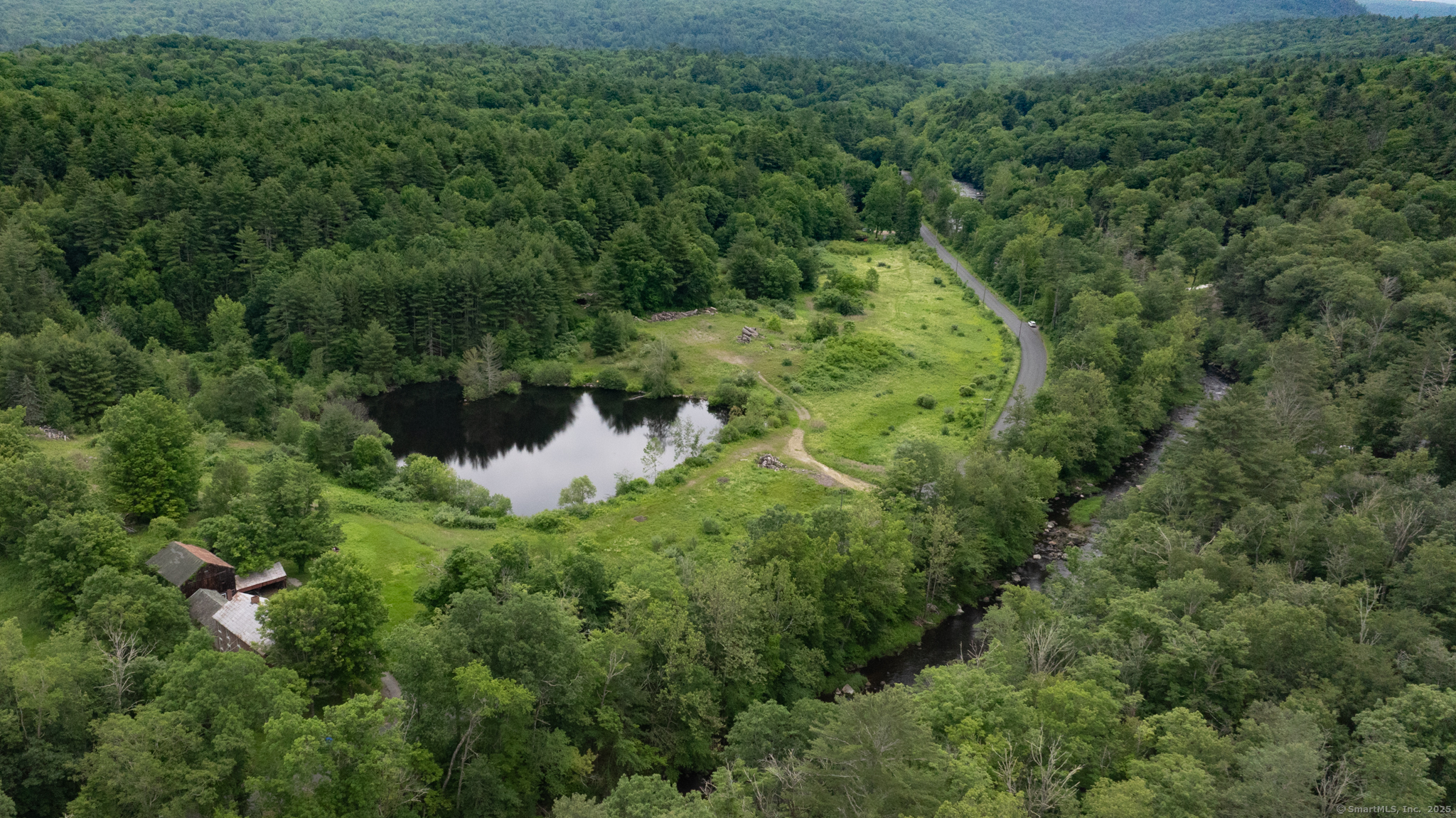 82 Riverton Road Colebrook, CT 06021 - Photo 7 of 9 a lush green forest with lots of trees