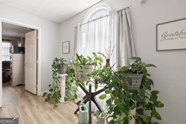 a plant sitting in a vase next to a window