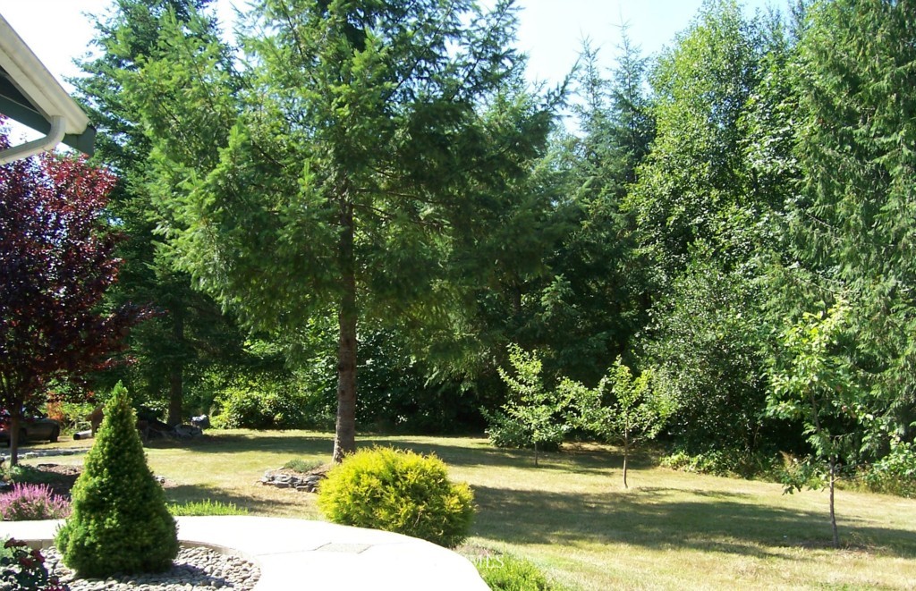 1383 Centralia Alpha Road Chehalis, WA 98532 - Photo 6 of 6