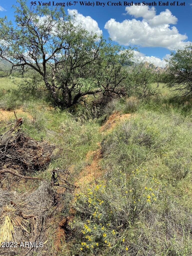 -lot82 East Badger Trail, Unit 82 St. David, AZ 85630 - Photo 14 of 21 DMR 11