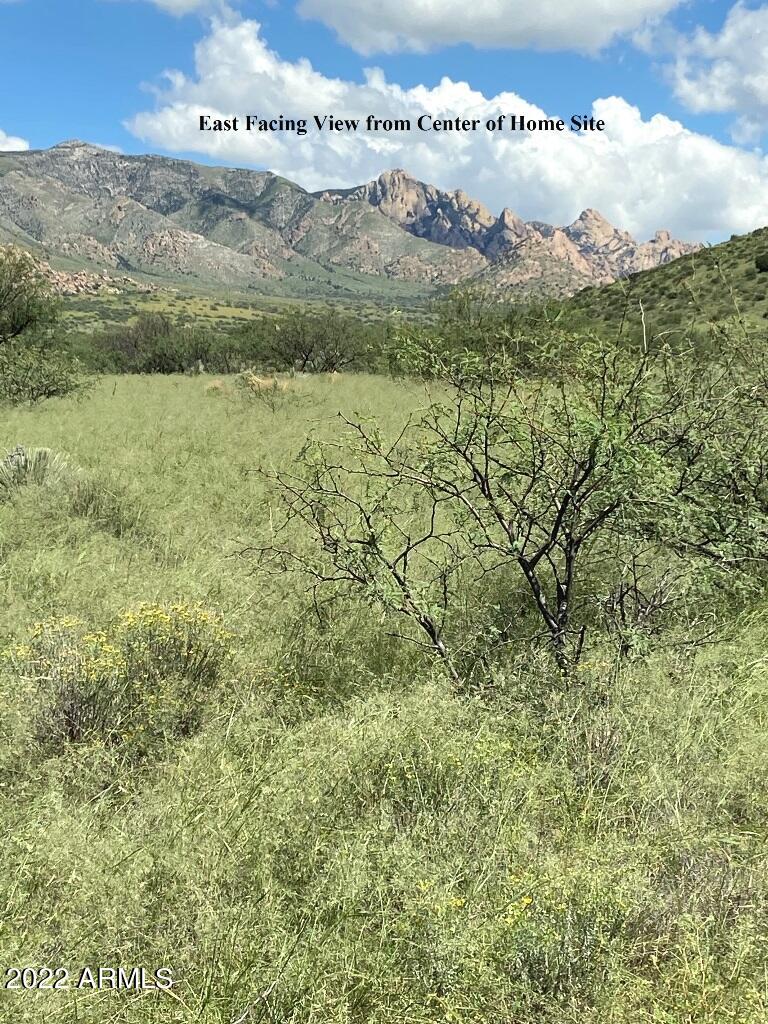 -lot82 East Badger Trail, Unit 82 St. David, AZ 85630 - Photo 4 of 21 DMR 13