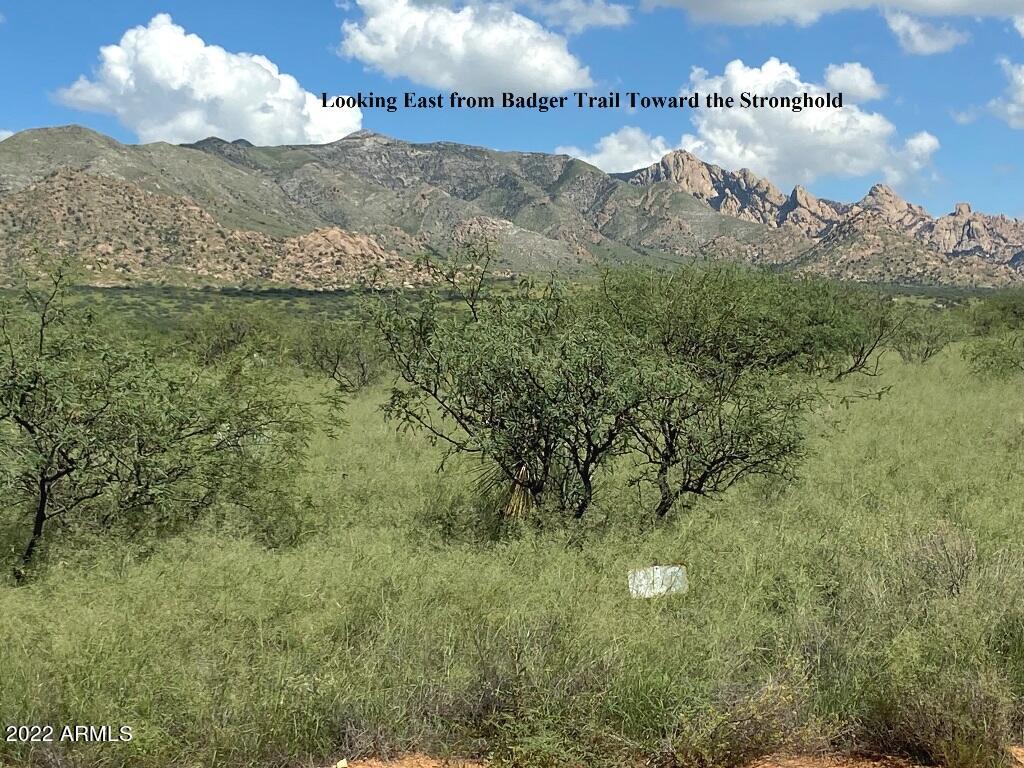 -lot82 East Badger Trail, Unit 82 St. David, AZ 85630 - Photo 5 of 21 DMR 18